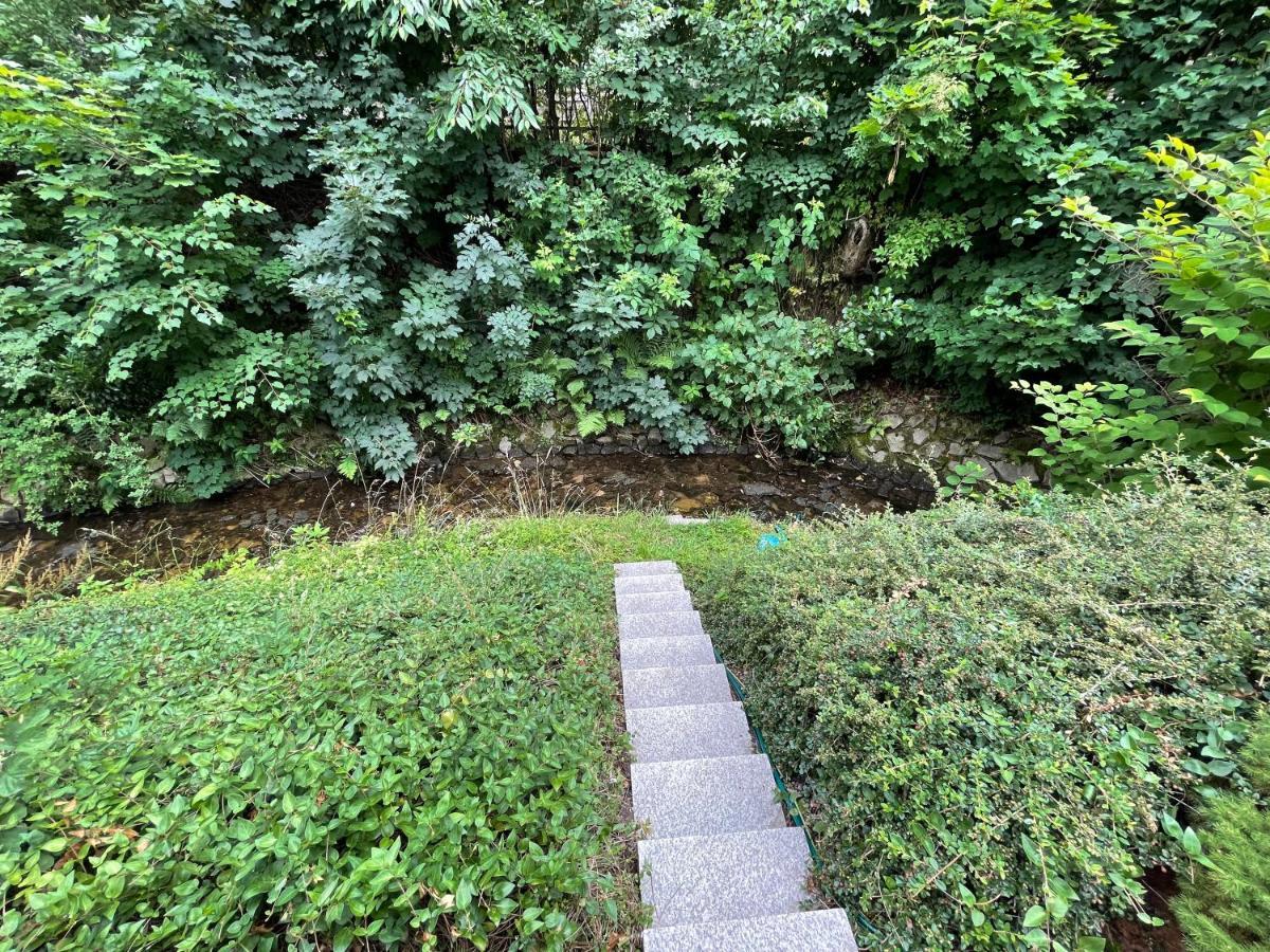 Ferienhaus Villa Adelsberg Mit Dachterrasse In Zentraler Lage Fuer Bis Zu 10 Personen เคมนิตซ์ ภายนอก รูปภาพ