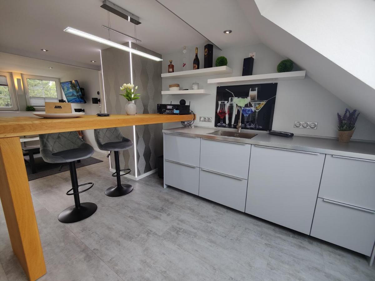 Ferienhaus Villa Adelsberg Mit Dachterrasse In Zentraler Lage Fuer Bis Zu 10 Personen เคมนิตซ์ ภายนอก รูปภาพ