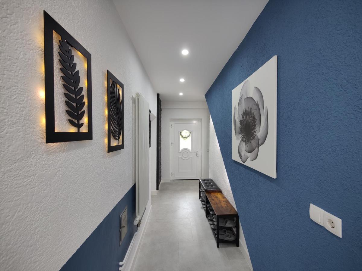 Ferienhaus Villa Adelsberg Mit Dachterrasse In Zentraler Lage Fuer Bis Zu 10 Personen เคมนิตซ์ ภายนอก รูปภาพ